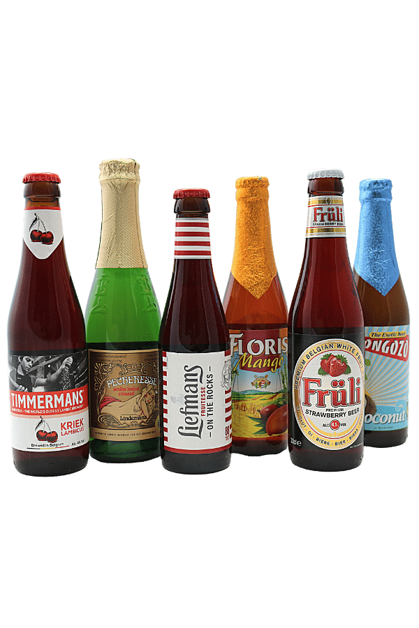 Fruit Beer Case Mix Pack