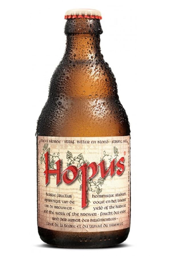 Hopus Beer Bottle