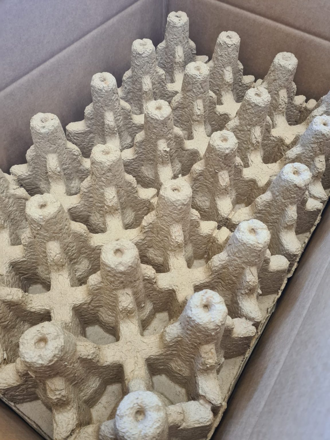 How To Order Buy Belgian Beer Online Free Delivery Cherry Beers