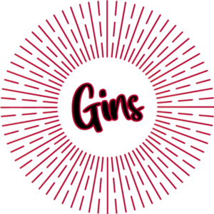 Gins, fruit gins, Jenever gins, online gin delivery