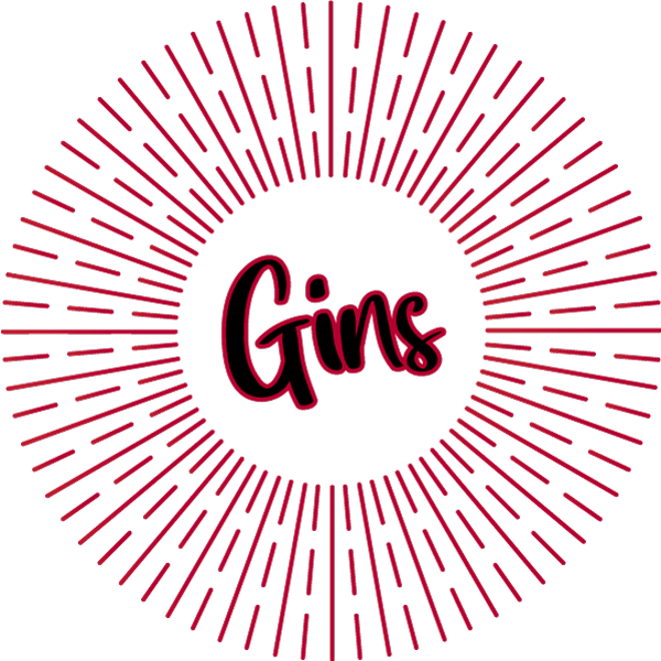 Gins, fruit gins, Jenever gins, online gin delivery