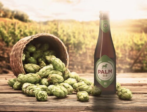 The Best Alcohol Free Beer