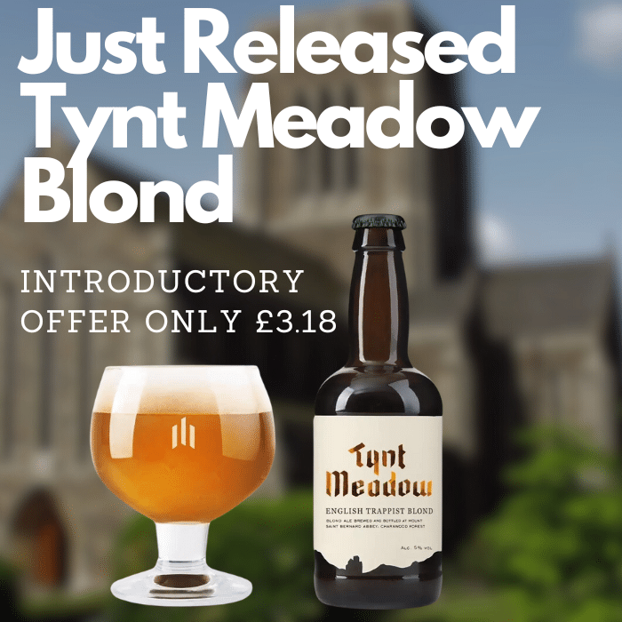 Tynt Meadow Blond