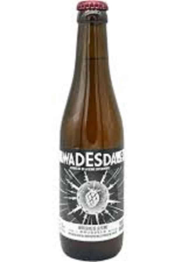 Wadesda #9
