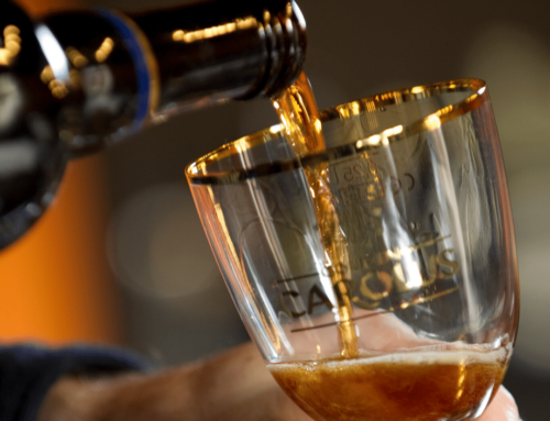 Gouden Carolus Indulgence Margaretha 2024