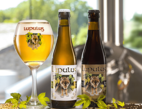 Lupulus Beers – Now Available