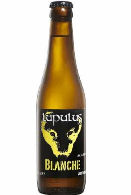 Lupulus Blanche