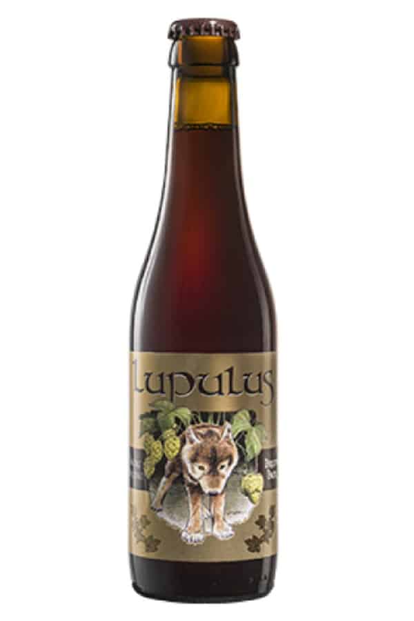 Lupulus Bruin