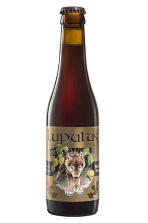 Lupulus Bruin