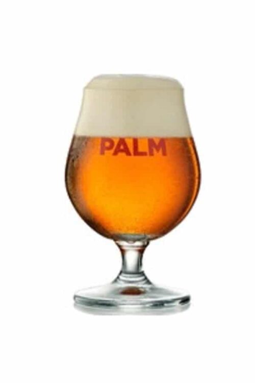 PALM GLASS NEW