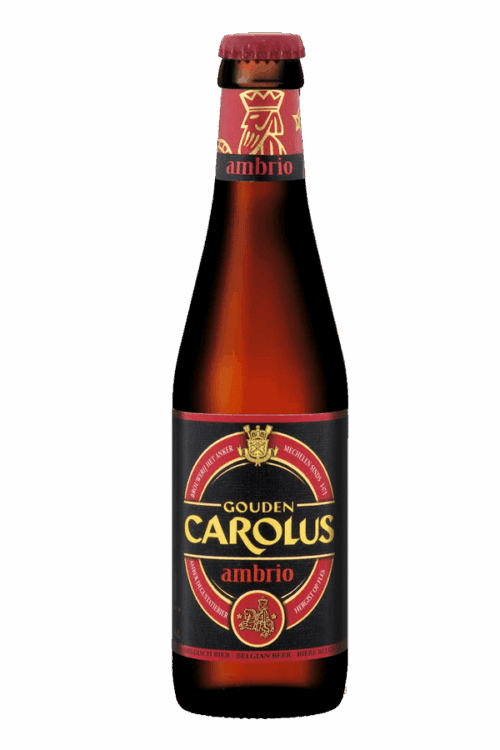 gouden carolus ambrio