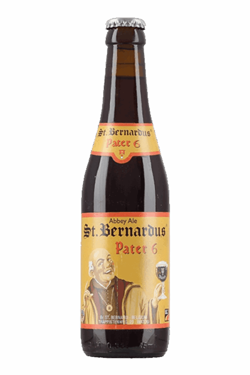 st bernardus pater 6